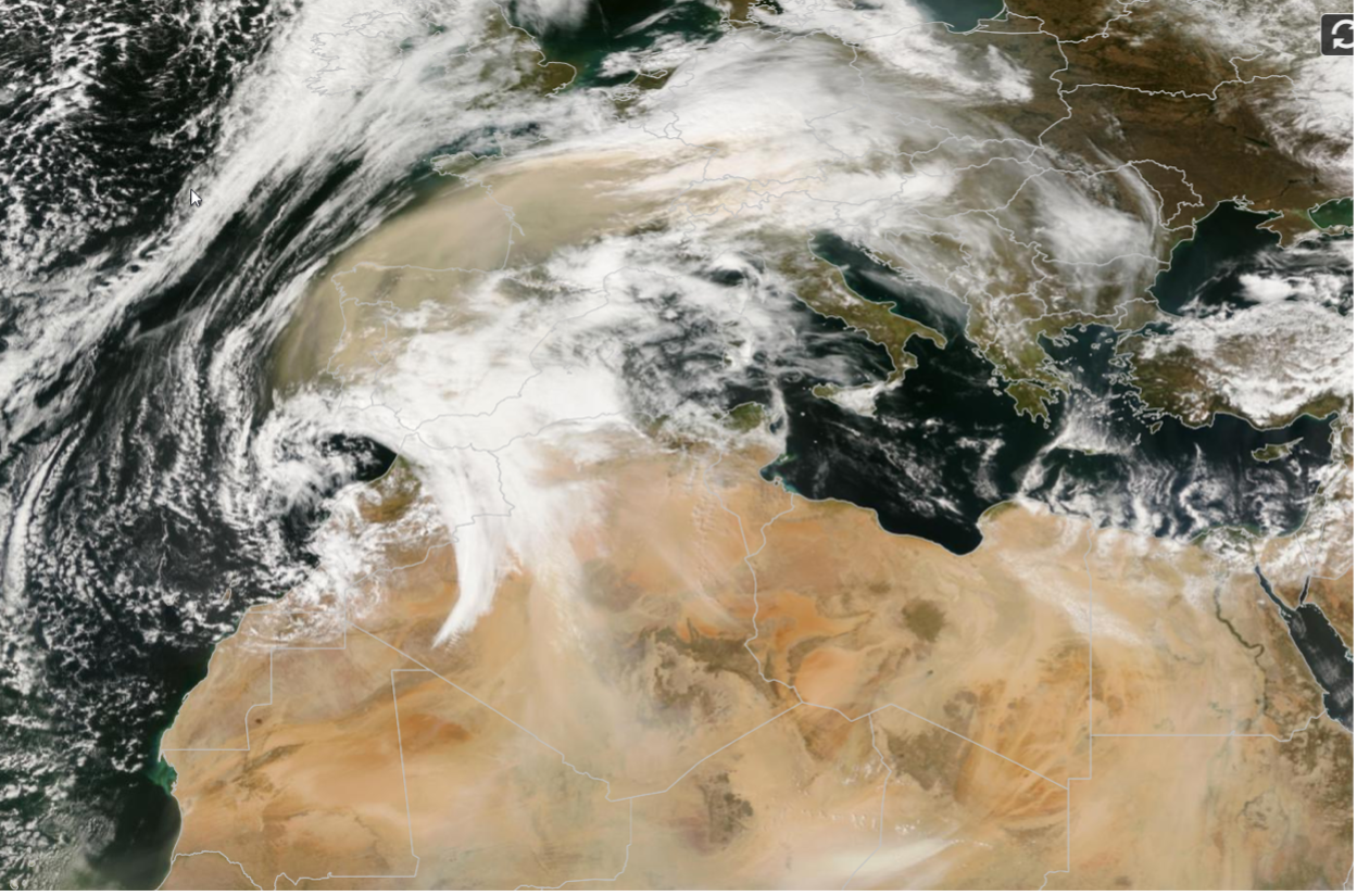 1647429501380.png 1647429501380.png