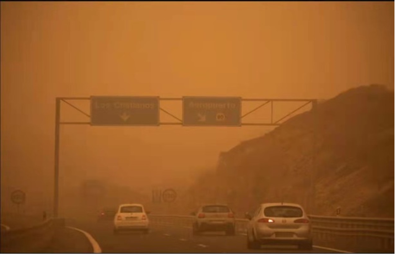 1647429512174.jpg 1647429512174.jpg